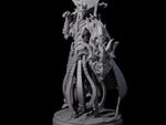 Royal Dark Elf Knight C