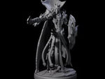 Royal Dark Elf Knight K