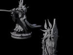 Two Elite Dark Elf Warriors