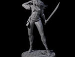 Abina - Daring Elf Swordmaster