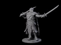 Sir Balyn - Duel Sword Fighter