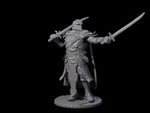 Sir Balyn - Duel Sword Fighter