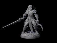 Braced Elf Fighter