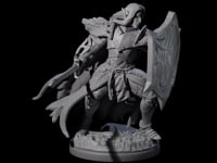 Righteous Elf Paladin