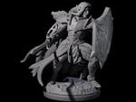 Righteous Elf Paladin