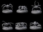 Six Skittering Cave Spiders
