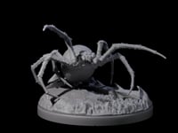 Skittering Cave Spider D