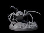 Skittering Cave Spider D