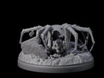 Skittering Cave Spider E