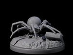Skittering Cave Spider F