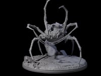 Spinning Web Cave Spider A