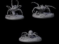 Three Spinning Web Cave Spiders