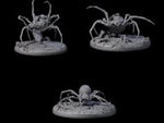 Three Spinning Web Cave Spiders