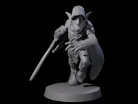 Cloaked Goblin Assassin B