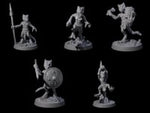 Five Intrepid Kobolds