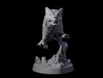 Growling Wolf D