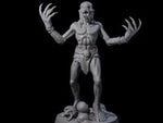 Screeching Ghoul D