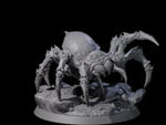 Spinning Giant Spider C