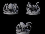 Three Spinning Giant Spiders