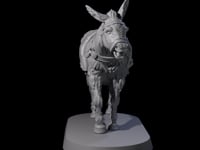 Neighing Donkey