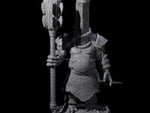 Protective Saurian Warrior E