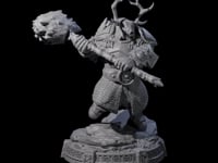 Wrapped Up Warrior of the North C