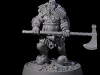 Veteran Viking Warrior B