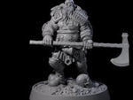Veteran Viking Warrior B