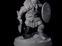 Veteran Viking Warrior A