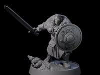 Veteran Viking Warrior C