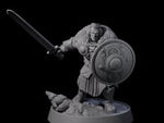 Veteran Viking Warrior C