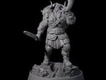 Veteran Viking Warrior D