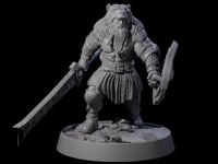 Veteran Viking Warrior H