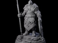 Veteran Viking Warrior I