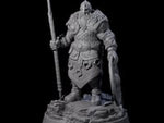 Veteran Viking Warrior I