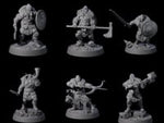 Veteran Viking Warriors