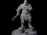 Furious Viking Berserker D