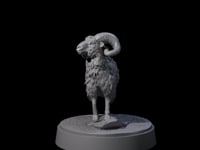 Roaming Ram