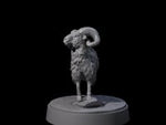 Roaming Ram
