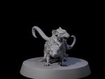 Mutated Double Rat