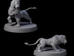 Two Grainy Lion Statues