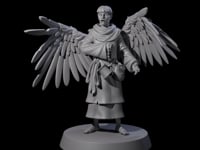 Winged Monk