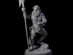 Crazed Githyanki Head Dealer