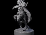 Wandering Blade - Striking Fighter