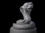 Cutsy Baby Snake