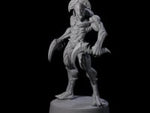 Sinuous Babau B