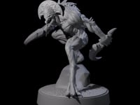 Sinuous Babau C