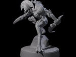 Sinuous Babau C