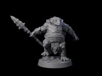 Warlike Tortle C