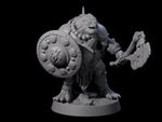 Warlike Tortle F
